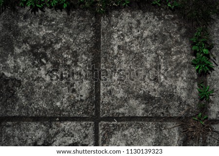  grey stone background for design and interior 