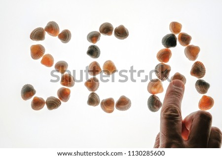 Close-up of a male hand making up the word Sea of seashells on a white background. The concept of rest or holiday. Isolated.