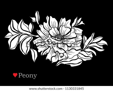 Decorative  peony flowers, design elements. Can be used for cards, invitations, banners, posters, print design. Floral background in line art style