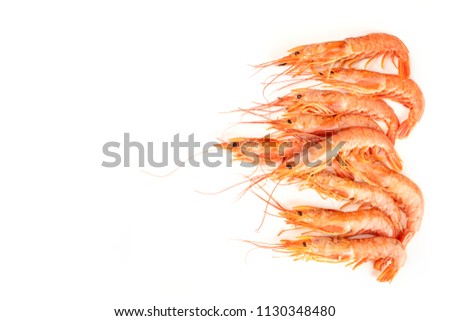 An overhead photo of many raw shrimps on white, with copy space