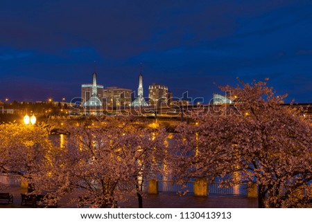 Cherry Blossom Trees Spring Flowers in Bloom along Portland Oregon downtown waterfront during blue hour