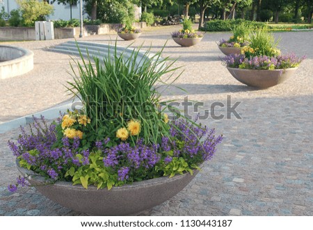 City landscape design. Beautiful blooming summer plants in the urban environment. Seasonal flowers are planted in large decorative pots made from concrete. 