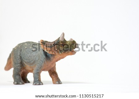 Baby triceratops on white background