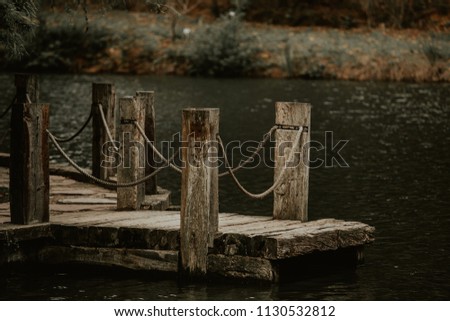 wooden bridge in the nature