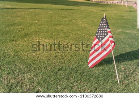 American flag displayed in honor of the 4th of July Independence Day on green grass lawn. Row of flags in distance background