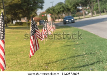 Long row of lawn American Flags on green grass yard blow in the wind. Groups of flying USA flags at an business park along street. Independence Day celebration in Plano, Texas, USA.