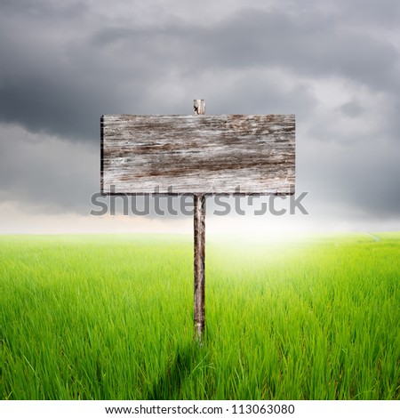 Wood sign with green rice field and rainclouds