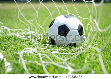 soccer ball in goal net with grass field