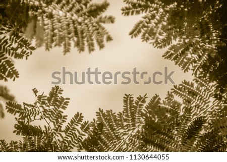 Green leaves frame with dramatic sky background and middle copy space for text. Nature frame of green leave branches on cloudy sky background. Frame of green leaves in the forest against the blue sky.