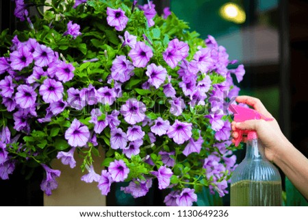 Use watering flower pots.