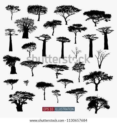 African tree isolated silhouettes set. Baobab, acacia and other. Elements for your design works. Vector illustration.