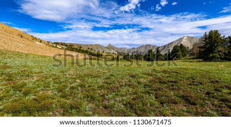 hiking trail in the White Cloud Wilderness in Idaho