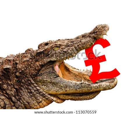 British Pound symbol eaten by crocodile for sale, crash or discount. Clipping path included! Ready for print or web page.