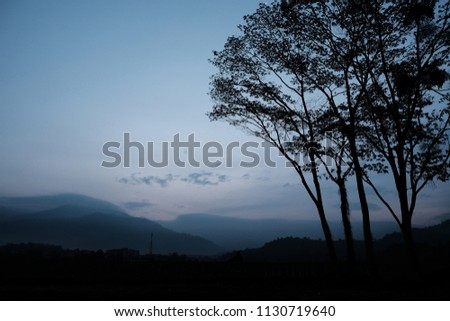 Silhoutte image of morning scenery in Malaysia with beautifull landscape. Suitable for background and copy-space.