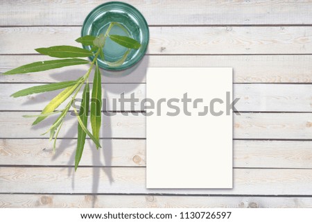 Green Leaf in Glass Styled Photography