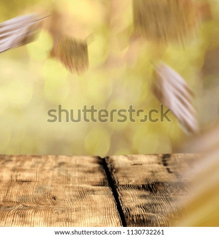 Table background of free space and autumn time 