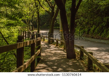 Wooden walkway beside curvy mountain road covered in shade from forest trees.