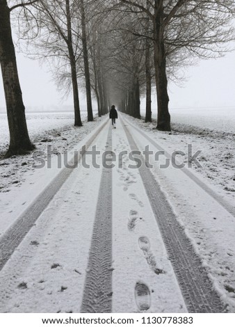 Road in the snow endless