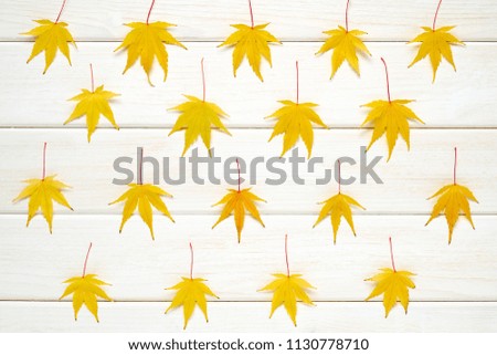 Autumn frame for your idea and text. Autumn fallen dry leaves of yellow color, framed in the form of a rectangle on a wooden board of white color. View from above