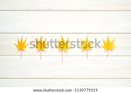 Autumn frame for your idea and text. Autumn fallen dry leaves of yellow, lined in a row in the middle on a wooden board of white color. The pattern of autumn. View from above
