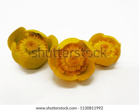 Bloom of a yellow swamp palustris on a white background