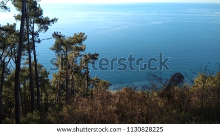 A breathtaking view of the Black Sea with fishing boats and a pine forest with a viewpoint. Abkhazia