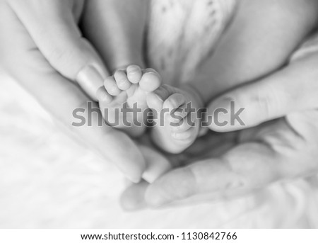 Small baby feet among furry blanket. Black and white image of newborn child's feet covered with fluffy rug