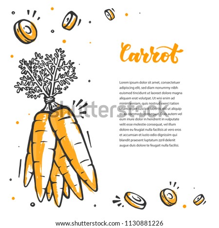 Carrot frame in hand drawn style. Raw vegan food. Healthy nutrition in vector style.