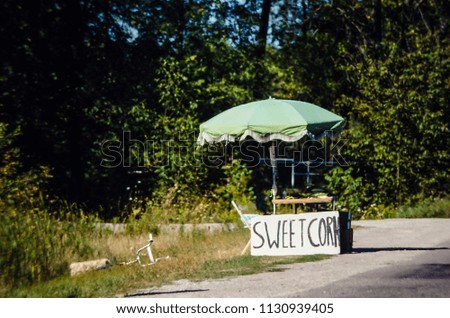 Country roadside summer vegetable stand with an umbrella and a bicycle laying nearby.