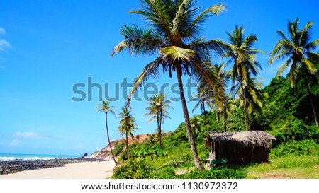 Beautiful beach with palm trees, Praia do Amor, near Pipa, Rio Grande do Norte, Brazil Royalty-Free Stock Photo #1130972372