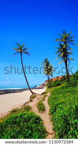 Beautiful beach with palm trees, Praia do Amor, near Pipa, Rio Grande do Norte, Brazil Royalty-Free Stock Photo #1130972384