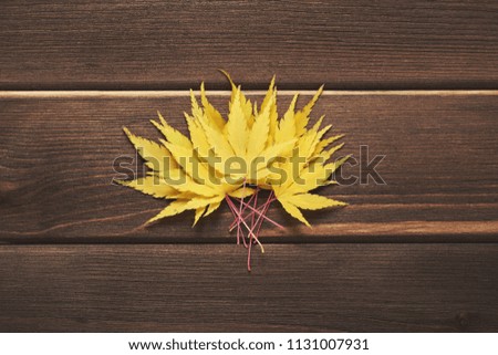 Autumnal frame for your idea and text. In autumn, yellow leaves fall dry, lined with a fan in the middle on an old wooden board of brown color. Model of autumn. View from above