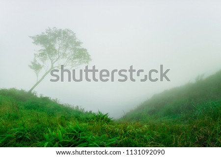 In the morning the cold weather is make floating fog on the mountain as a sea of mis
