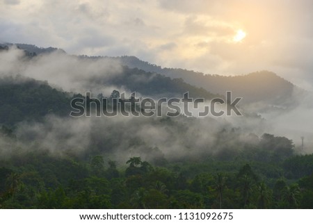 Forested Mountain in the cloud and fog, mist in a scenic landscape view