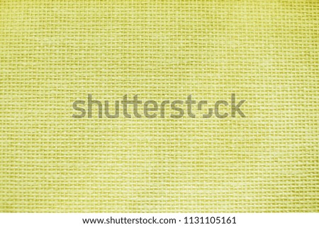Texture light green cloth bag
