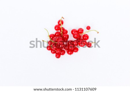 Red currant on light background