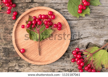 Twigs of viburnum with red fruits on a wooden plate. Horizontal.