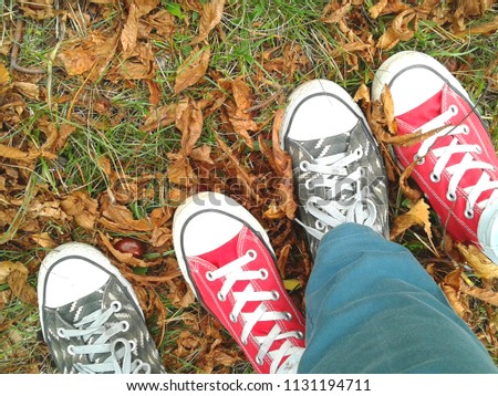 sports shoes in autumn.