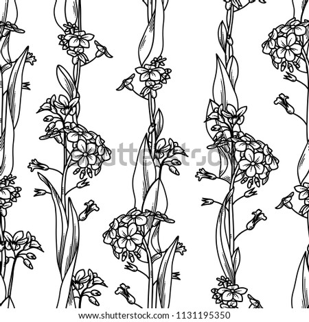 Vector floral seamless pattern. Forget-me-nots boundless background. Black linear tiny flowers and leaves on white background. Tileable design element.