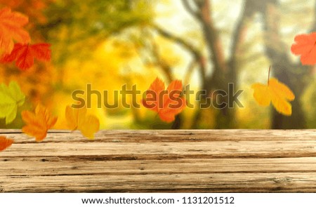 Table background and autumn time. Free space for your product. 