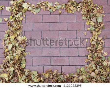 The frame of autumn leaves is laid out on a block of red brick