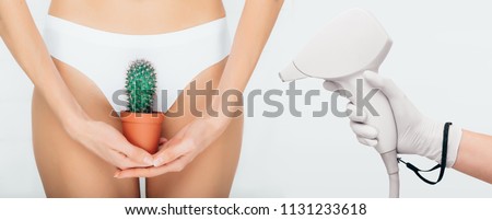 concept bikini laser epilation , woman holding a cactus on a background of white panties, close-up, depilation of a bikini zone