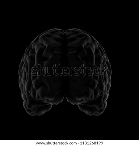 3D Illustration of brain