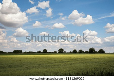 Green agriculture fields