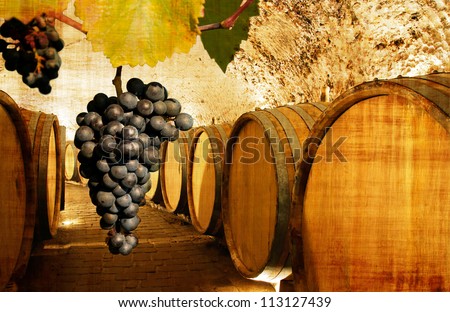 Vintage looking wine cellar with a bunch of grapes hanging from the top of the picture