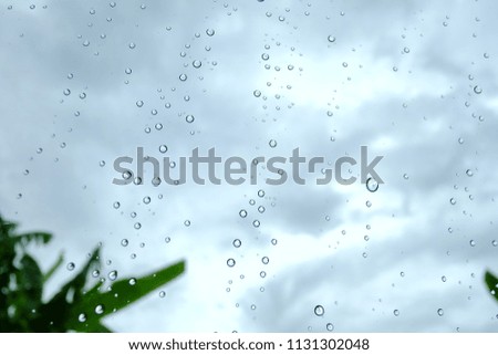 Rain drops on a car mirror with rainy day and dramatic weather,blurred banana leaves background 