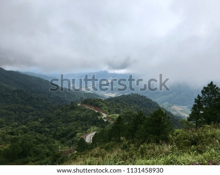 A picture of a winding road that cuts through a misty white cloud cover.