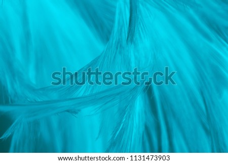 Beautiful green turquoise vintage color trends feather pattern texture background for Decorative design ,wallpaper and other
