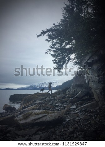 Silhouettes of a man and dog exploring the ocean shoreline. Royalty-Free Stock Photo #1131529847