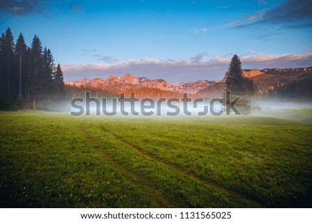 Misty summer day in the Durmitor National park. Location place village Zabljak, Montenegro, Balkans, Europe. Scenic image of peaceful alpine valley. Travel destination. Discover the beauty of earth.